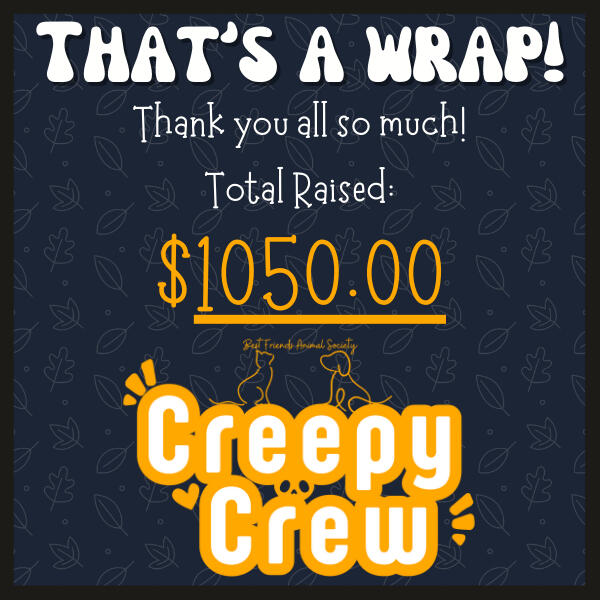 Best Friends x LA Wildfires (January 25&#39;)